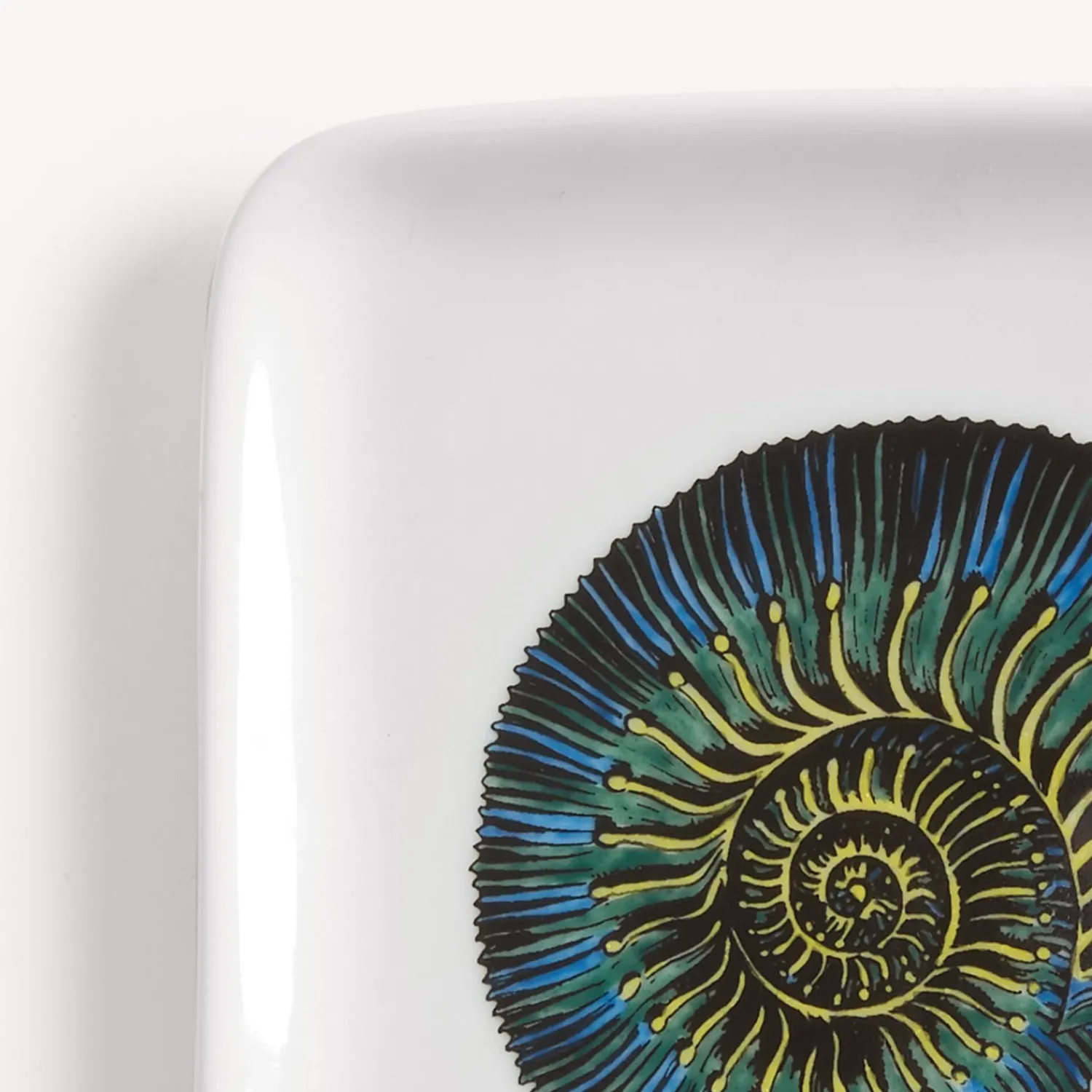 Design Ashtrays<Fornasetti Ashtray Conchiglia Fossile Multicolour