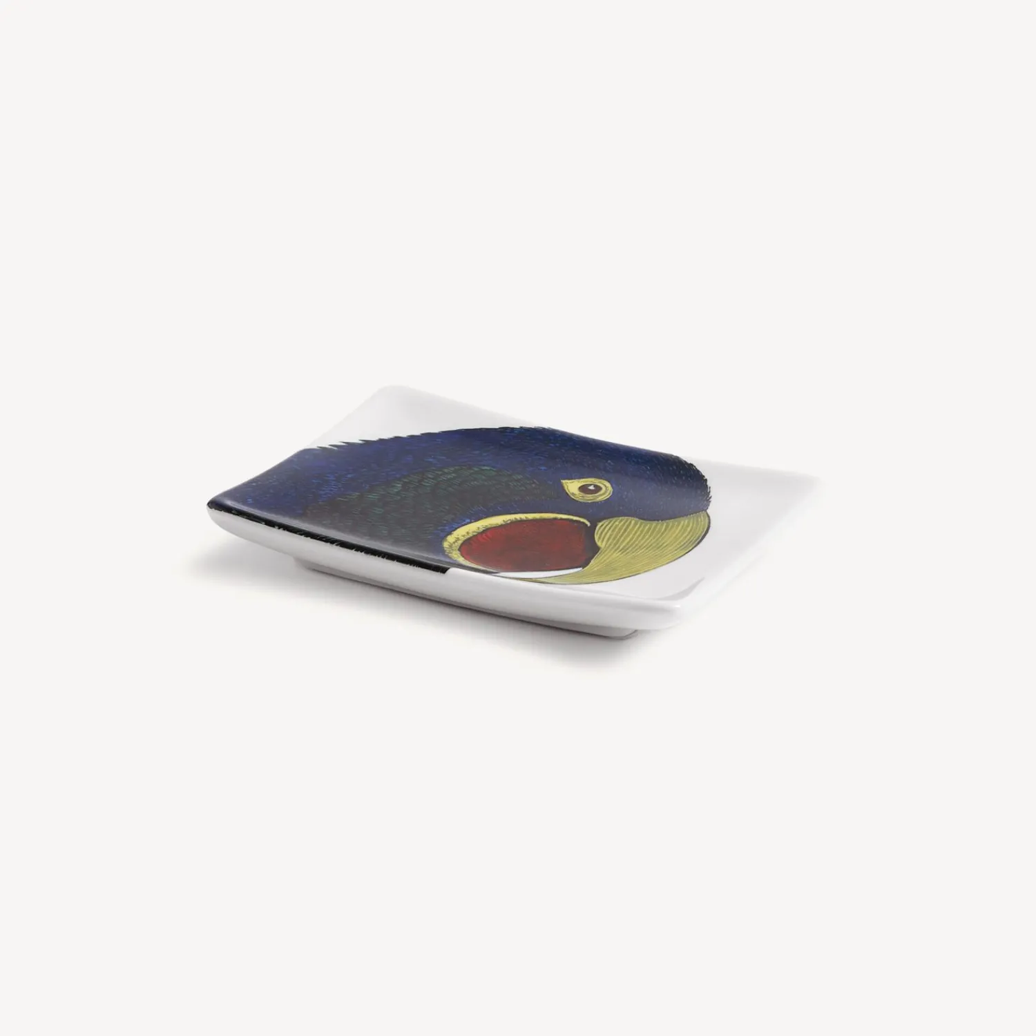 Design Ashtrays<Fornasetti Ashtray Pappagallo Multicolour