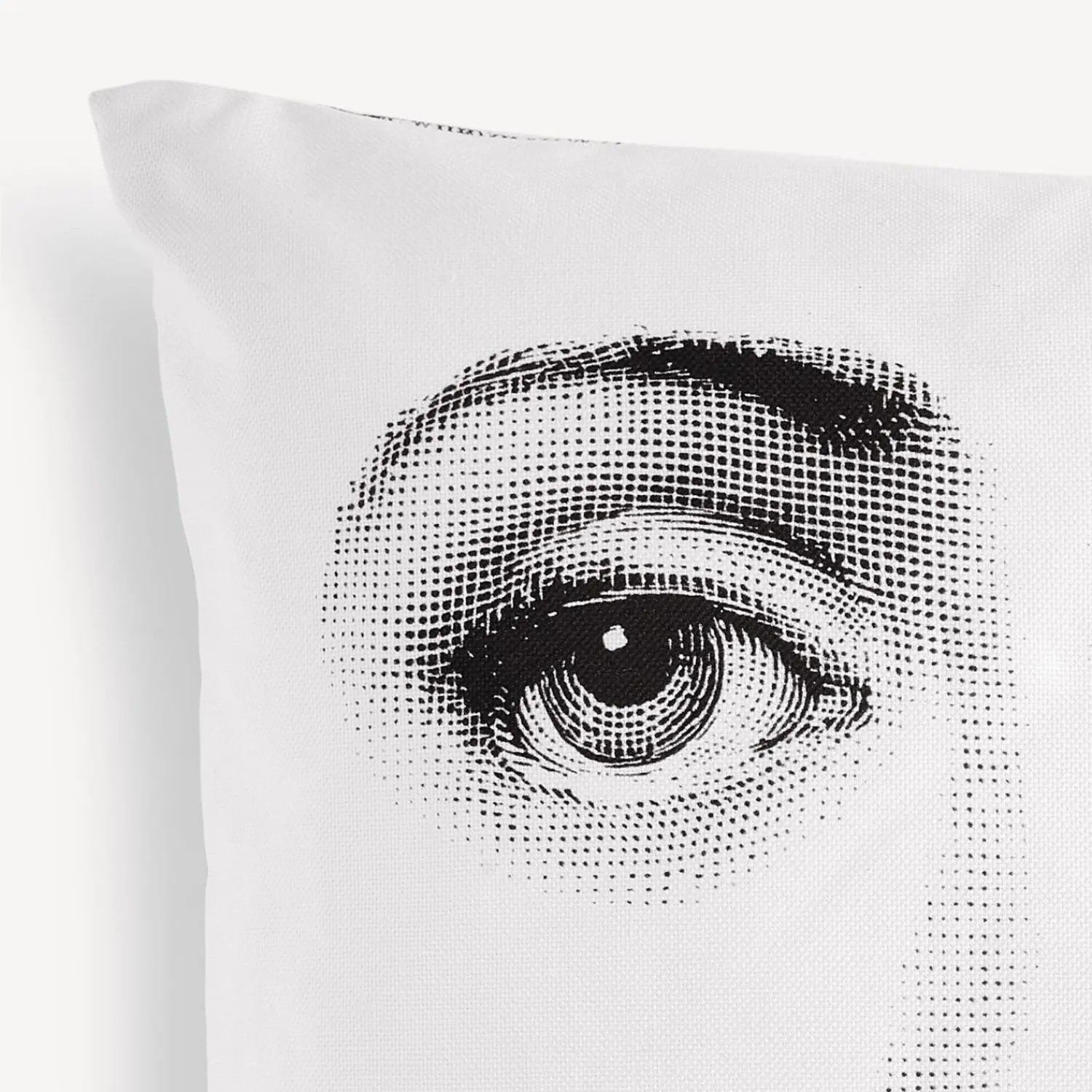 Cushions<Fornasetti Cushion Tema E Variazioni N.288 White/Black