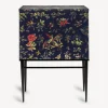 Cabinets<Fornasetti Raised Cabinet Coromandel Multicolour
