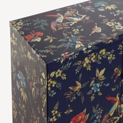 Cabinets<Fornasetti Raised Cabinet Coromandel Multicolour