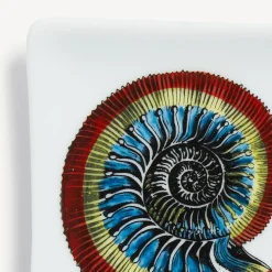 Design Ashtrays<Fornasetti Rectangular Ashtray Giro Di Conchiglie Multicolour