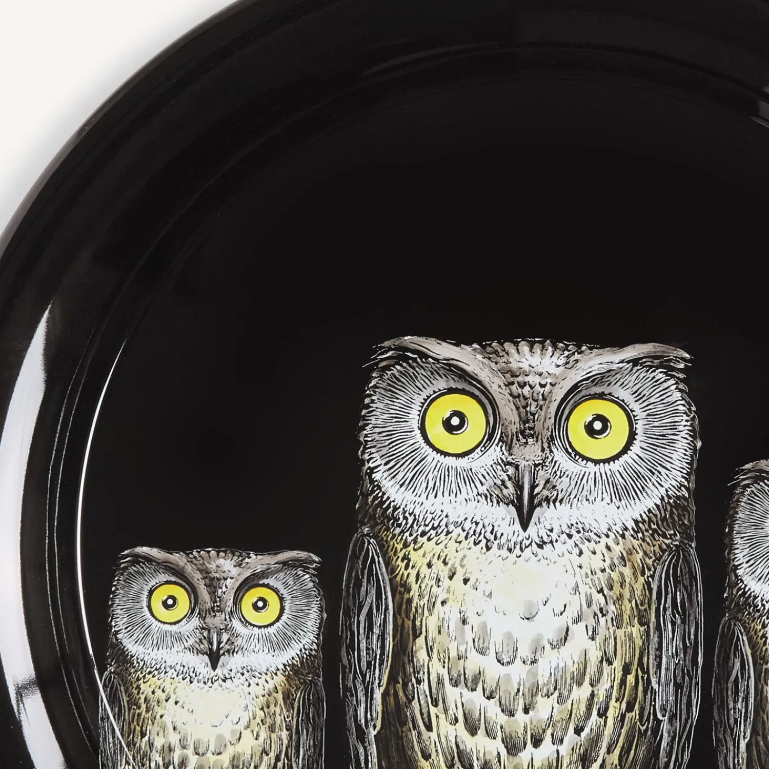 Decorative Trays And Pliants<Fornasetti Tray Civette Multicolour