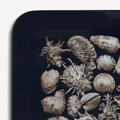 Decorative Trays And Pliants<Fornasetti Tray Conchiglie White/Black/Blue
