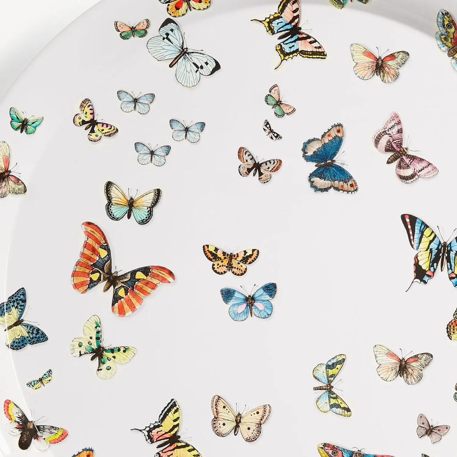 Decorative Trays And Pliants<Fornasetti Tray Farfalle Multicolour