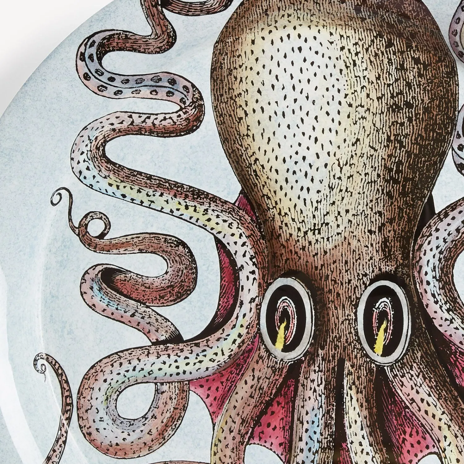 Decorative Trays And Pliants<Fornasetti Tray Polipo Multicolour