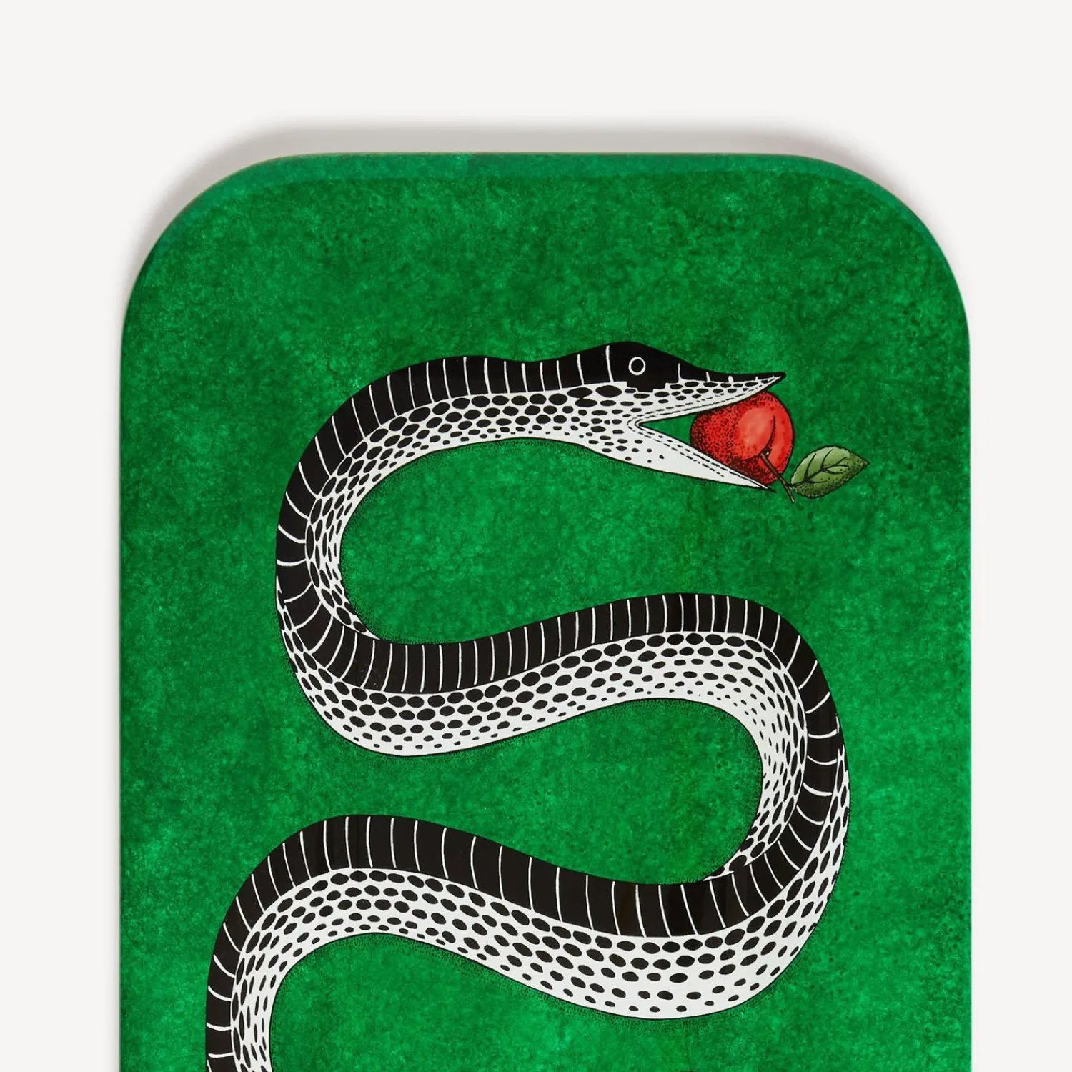 Decorative Trays And Pliants<Fornasetti Tray Serpente Multicolour