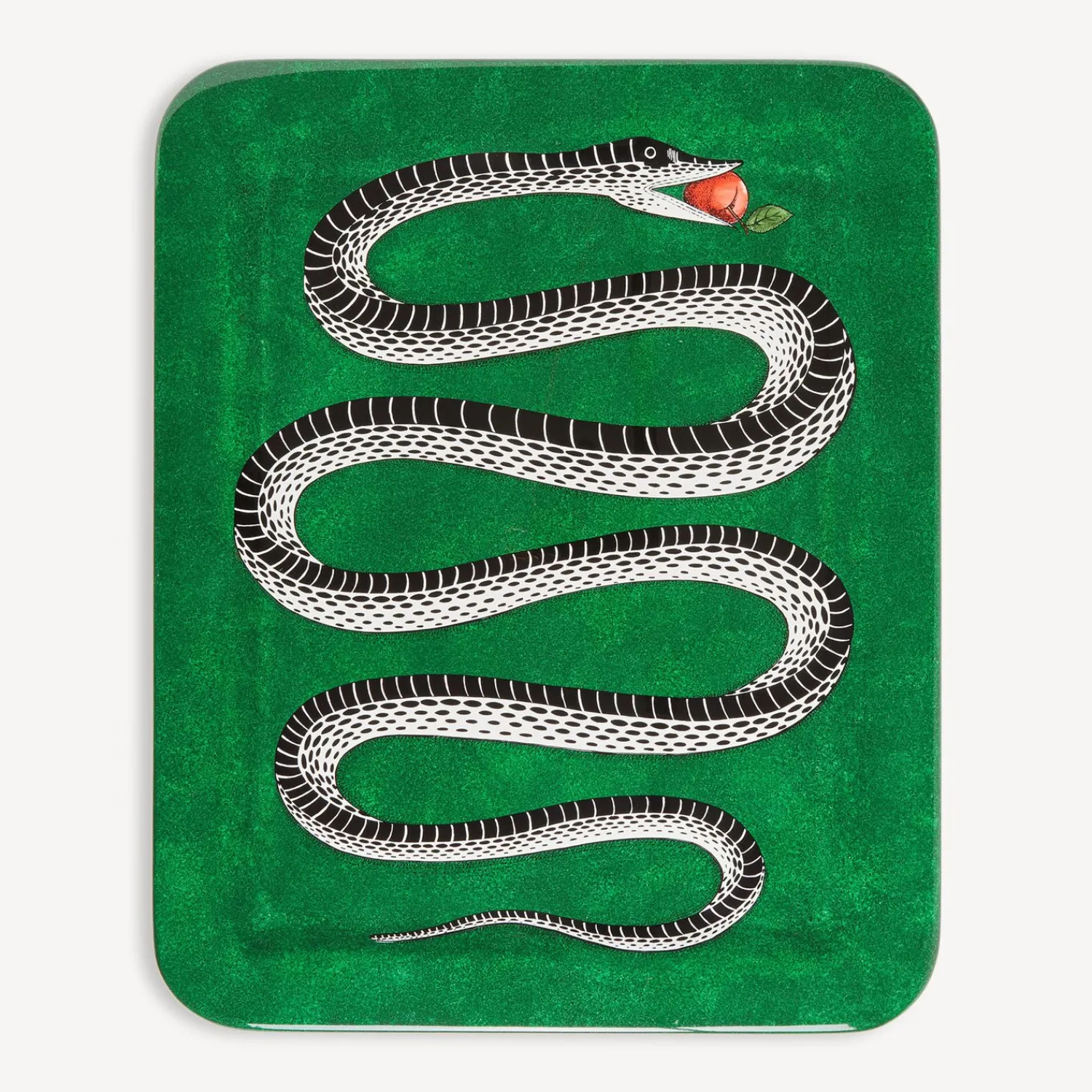 Decorative Trays And Pliants<Fornasetti Tray Serpente Multicolour
