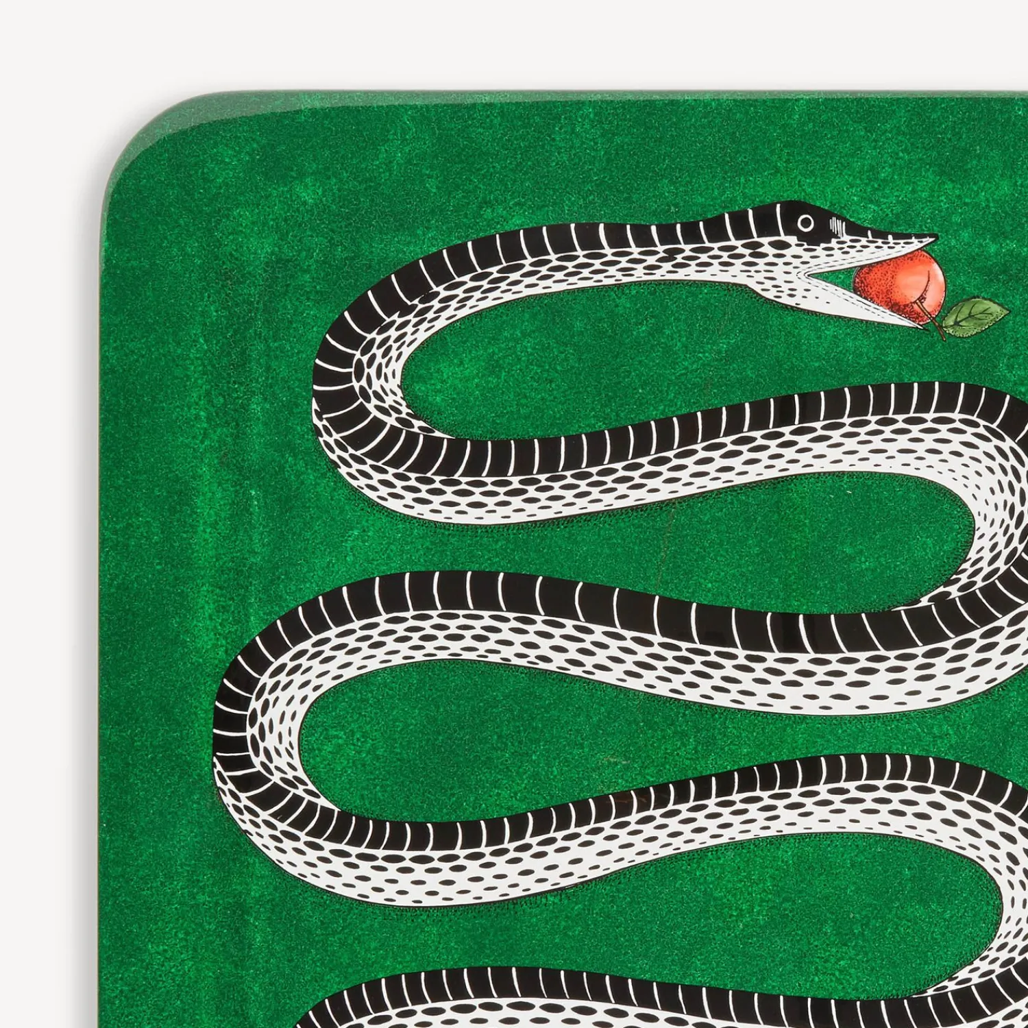 Decorative Trays And Pliants<Fornasetti Tray Serpente Multicolour