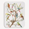 Decorative Trays And Pliants<Fornasetti Tray Uccelli Multicolour