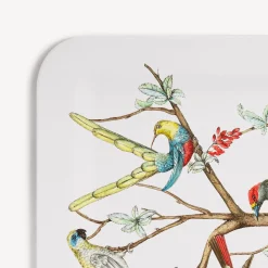 Decorative Trays And Pliants<Fornasetti Tray Uccelli Multicolour