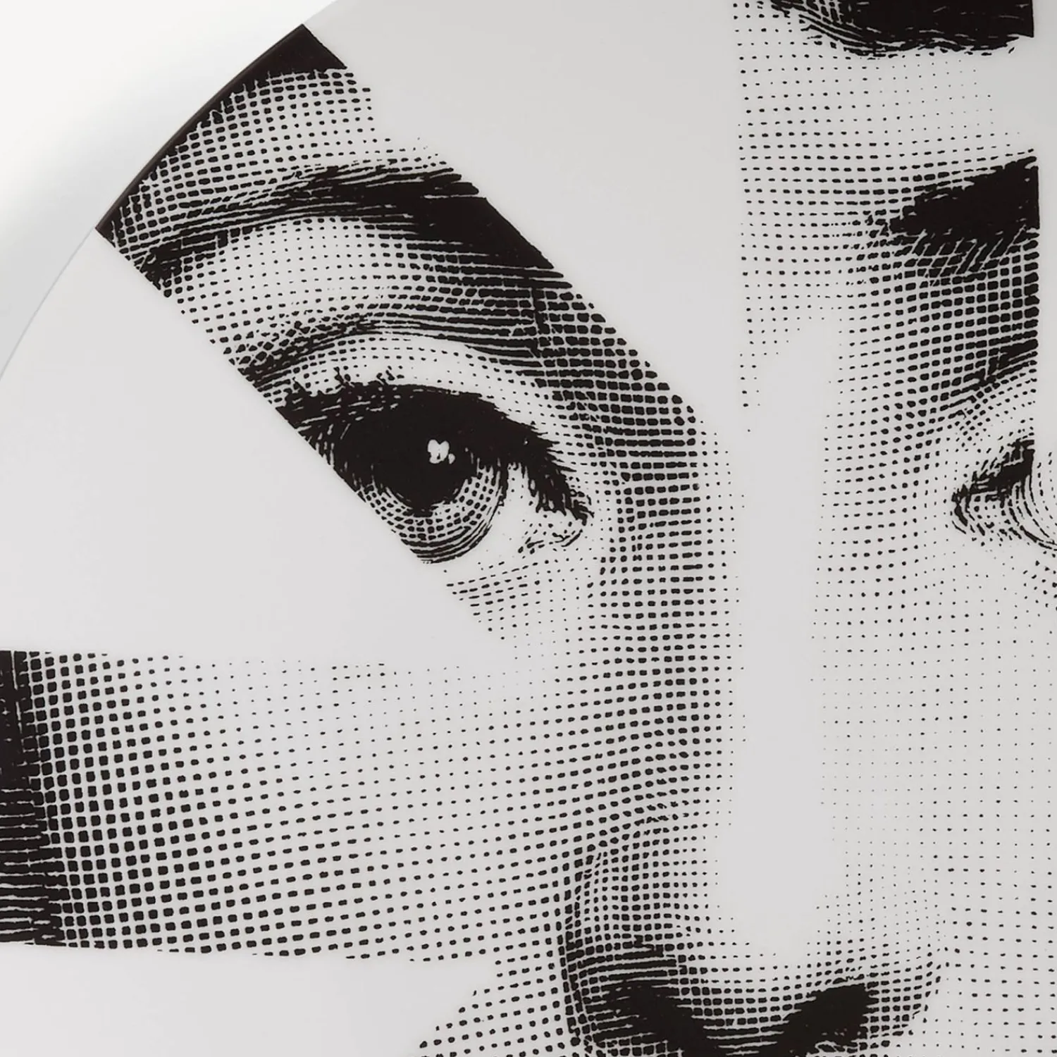 Fragment<Fornasetti Wall Plate Tema E Variazioni N.48 White/Black