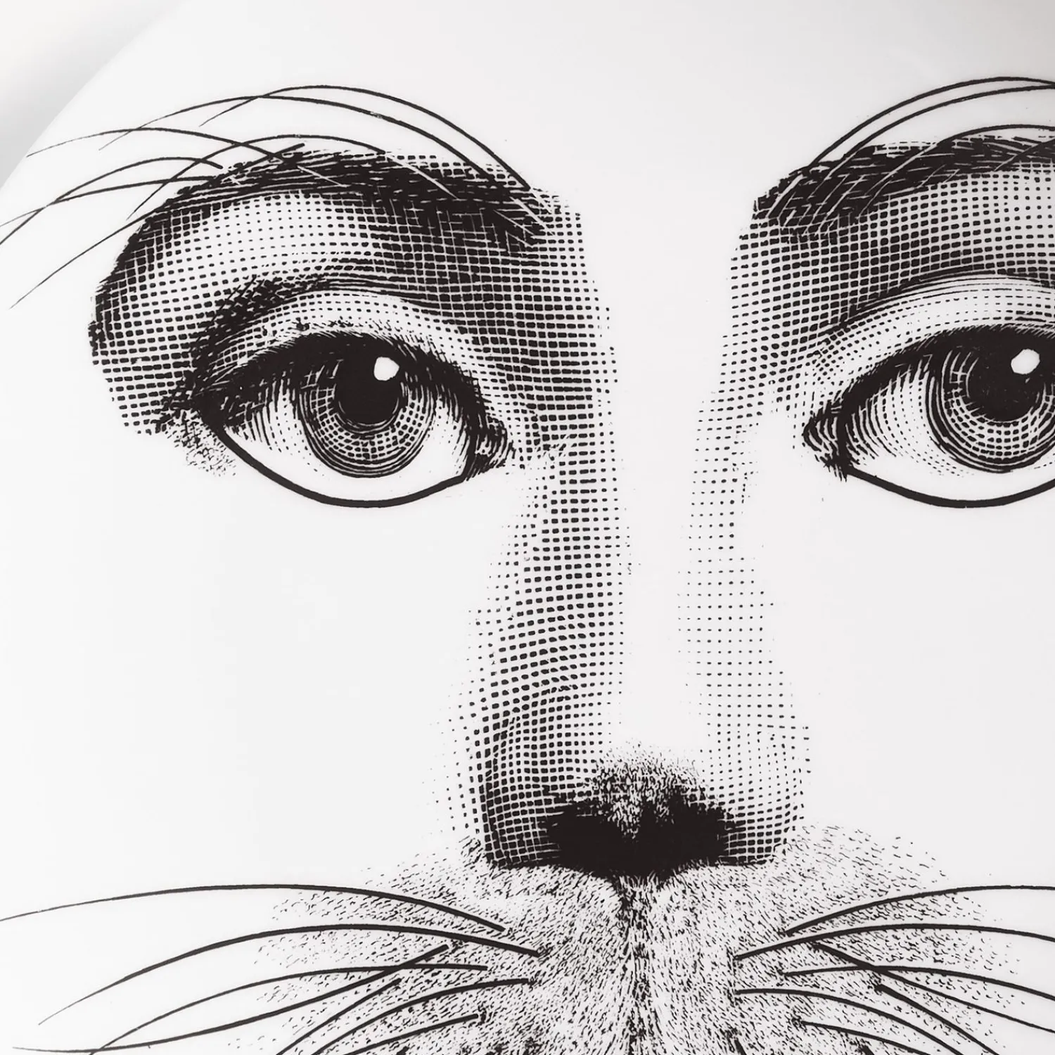 Animals<Fornasetti Wall Plate Tema E Variazioni N.311 White/Black