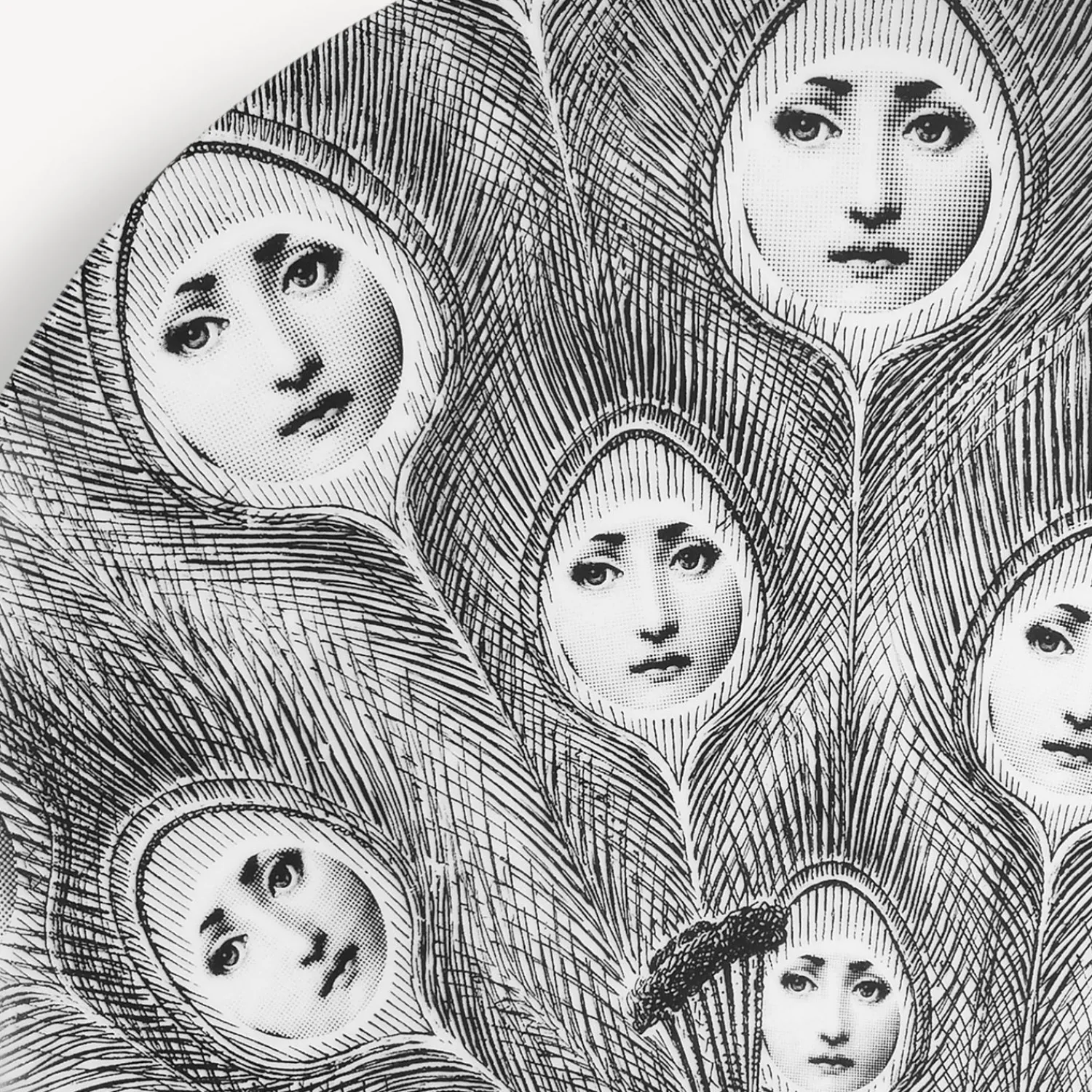 Animals<Fornasetti Wall Plate Tema E Variazioni N.259 White/Black