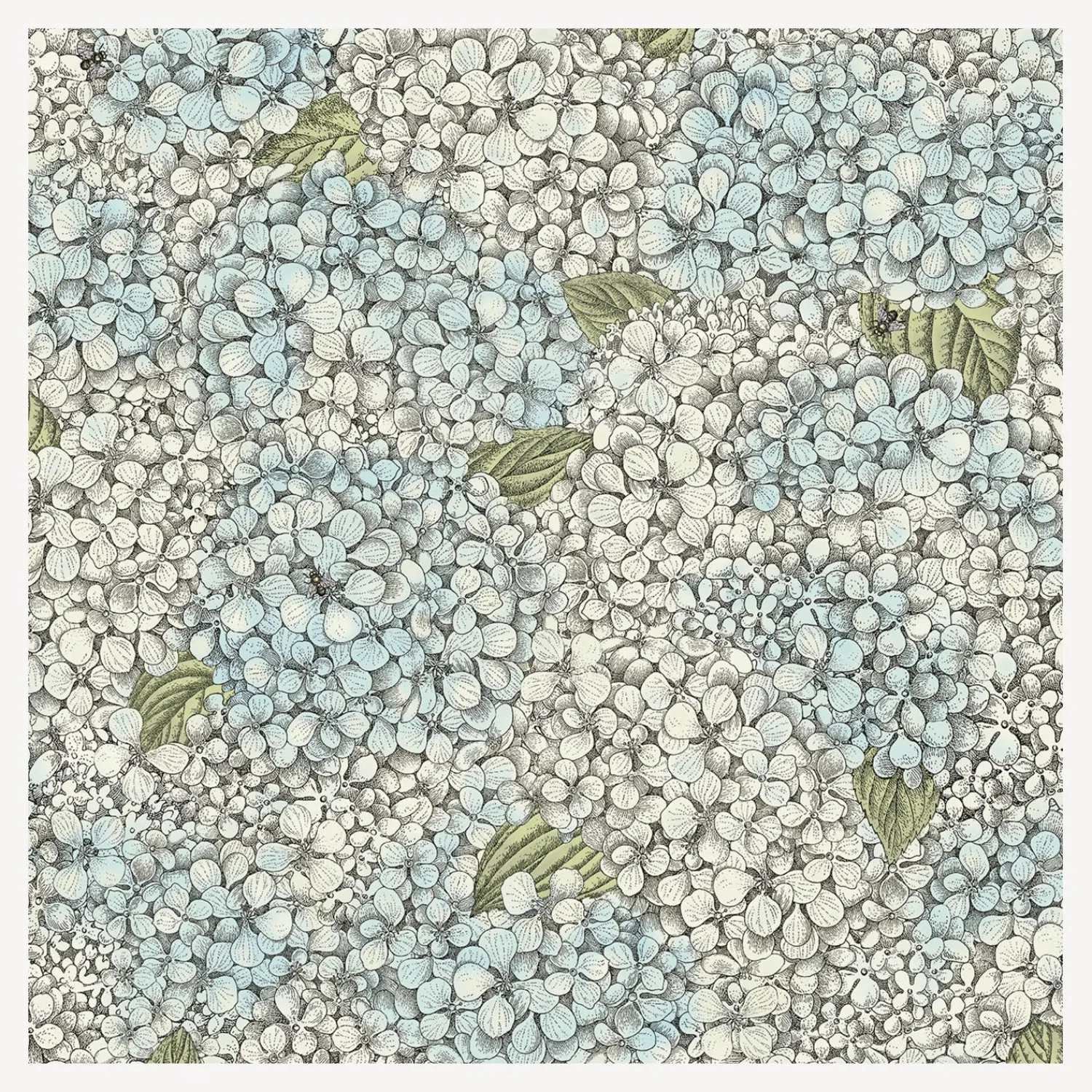 Wallpaper<Fornasetti Wallpaper Ortensia Blue And Cream
