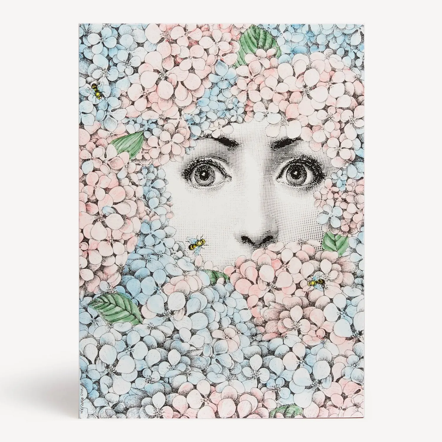 Glove Boxes<Fornasetti Wooden Box Ortensia Multicolour